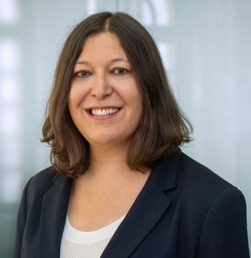 Professor Merih Sevilir, PhD